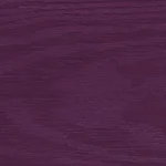 Purple Violet